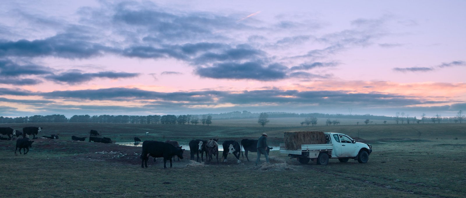 Achmea | Lend a hand