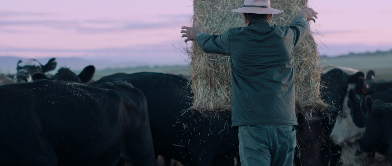 Achmea_JakeWard-Director_DOP_2