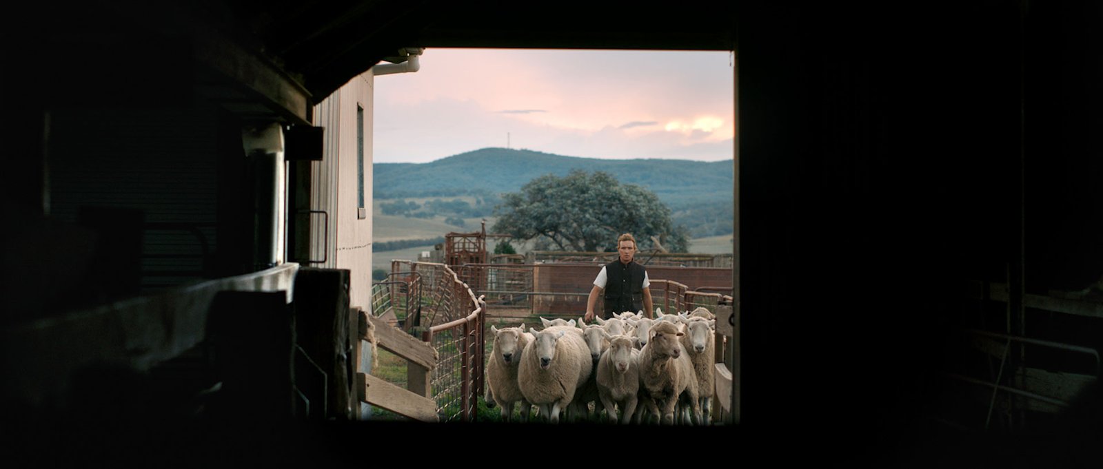 Achmea | Lend a hand