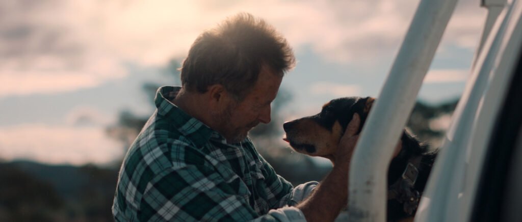 Achmea | Lend a hand