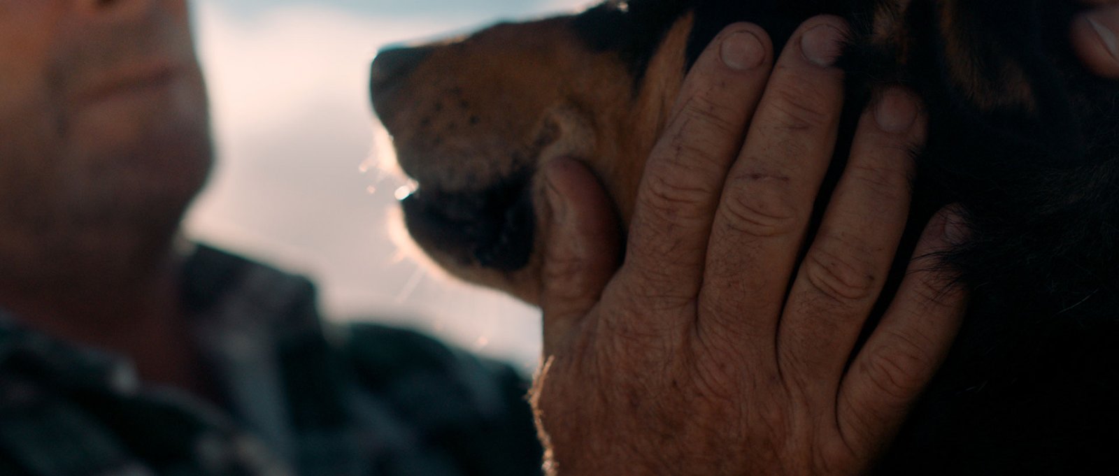 Achmea_JakeWard-Director_DOP_6