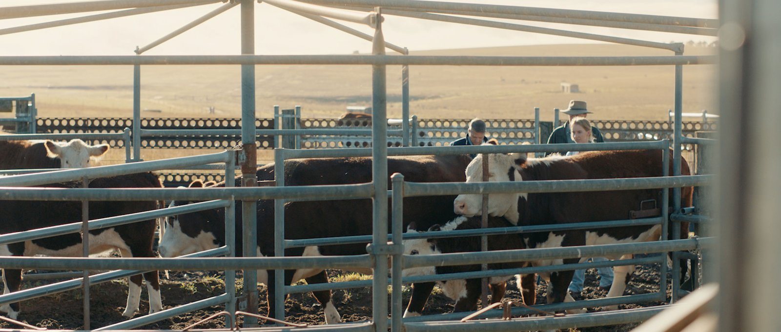 Achmea_JakeWard-Director_DOP_7