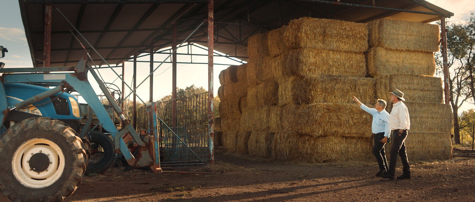 Achmea_JakeWard-Director_DOP_9