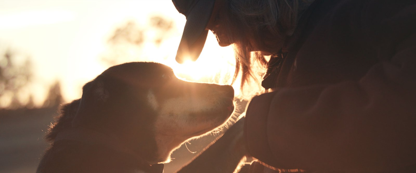 Blackhawk_Backtrack_JakeWard-Director_DOP_6