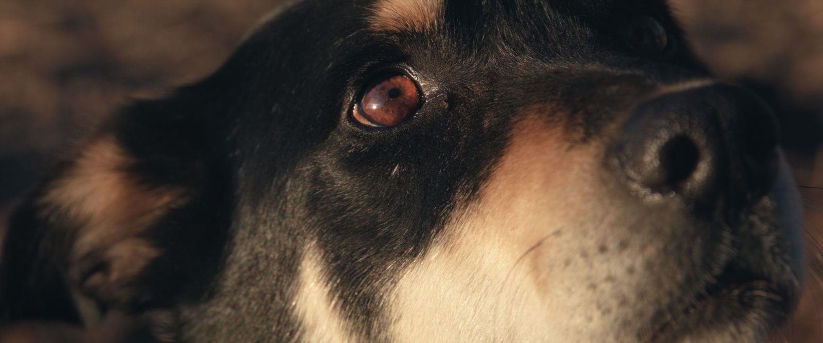 Blackhawk_Backtrack_JakeWard-Director_DOP_7