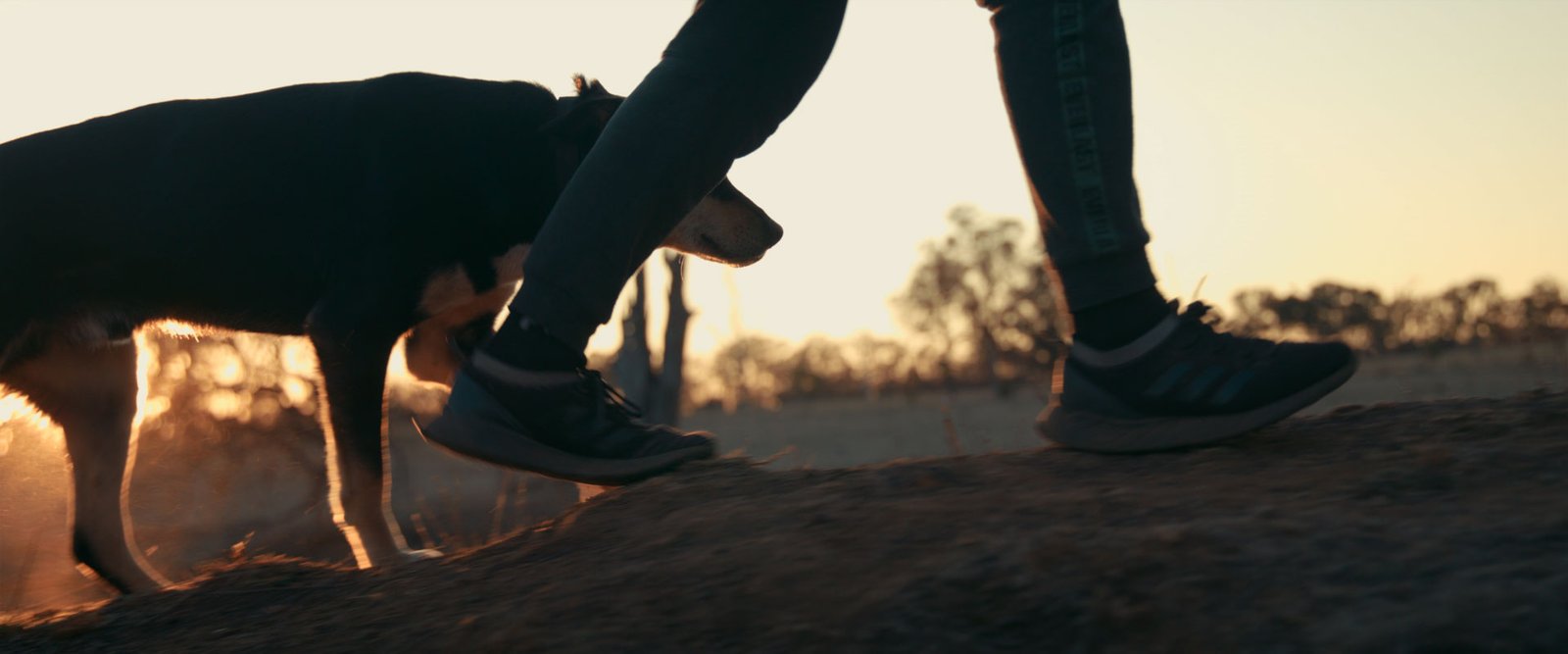 Blackhawk_Backtrack_JakeWard-Director_DOP_8