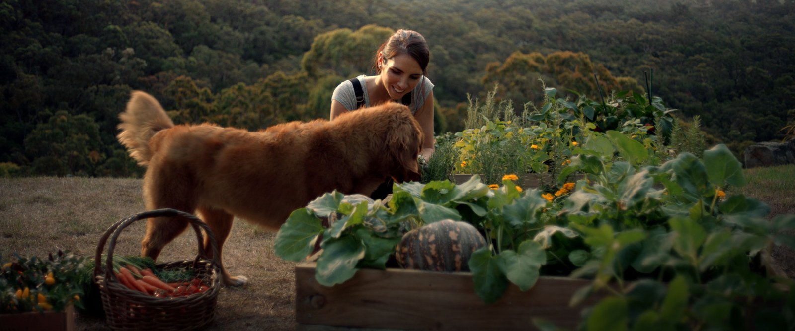 Blackhawk_GF__JakeWard-Director_DOP_1