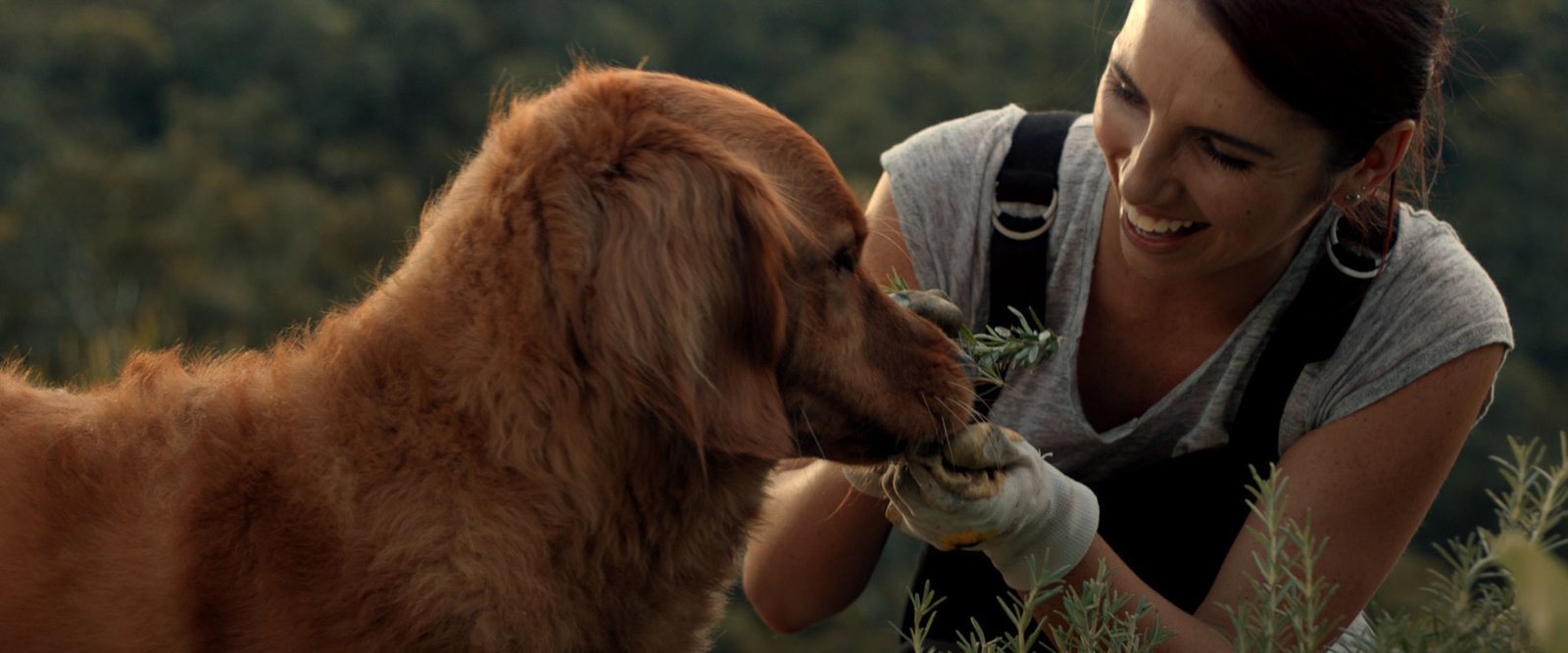 Blackhawk | Real Ingredients