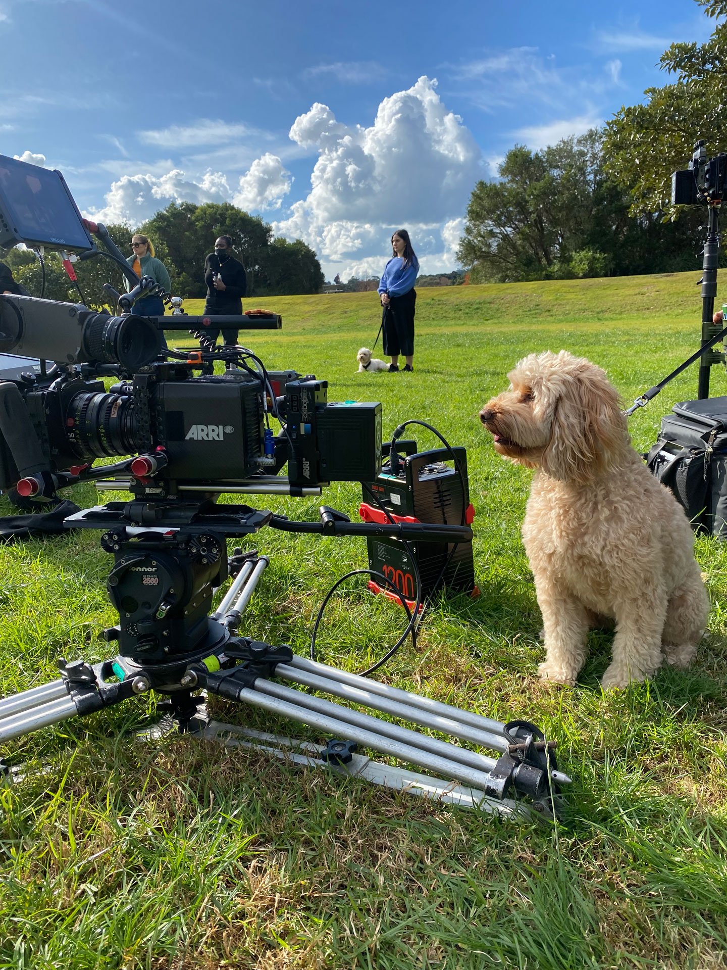 Director_DOP_Sydney_Jake_Ward_Lipton_BTS02