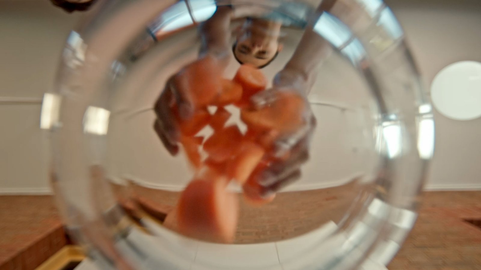 Duke_of_Ed_Be_Your_Own-Champ_JAKE_WARD_Director_DOP_ALEXA_V06