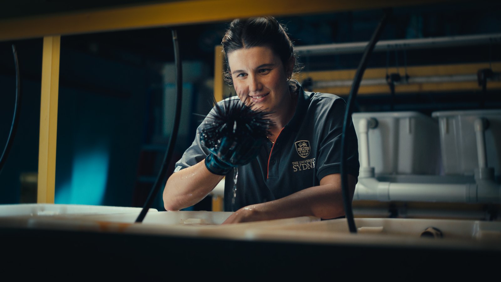 USYD_175-Years_GlassFullFilms_Arri_Alexa_17