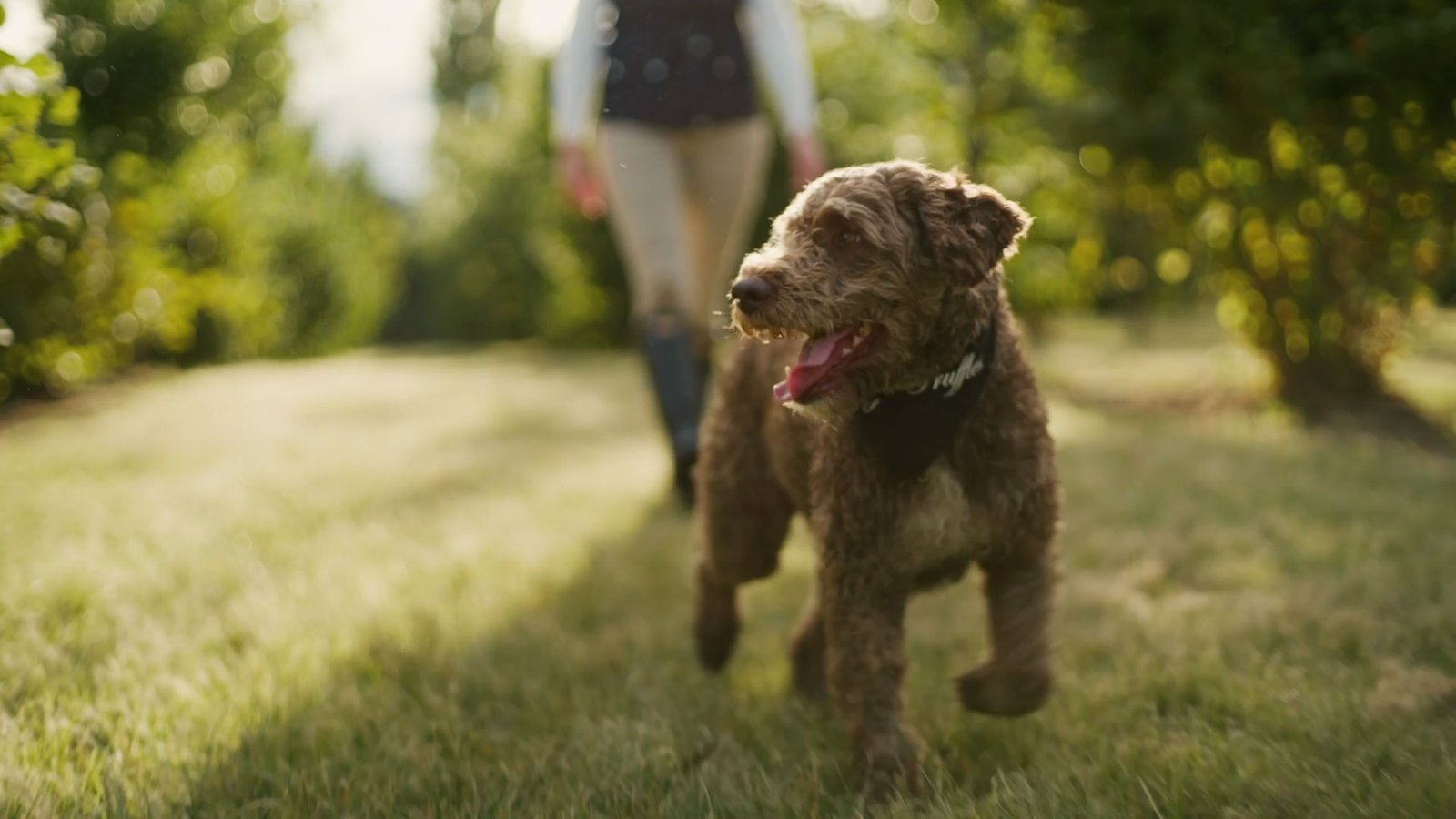 Visit_Canberra_JAKE_WARD_DOP.003