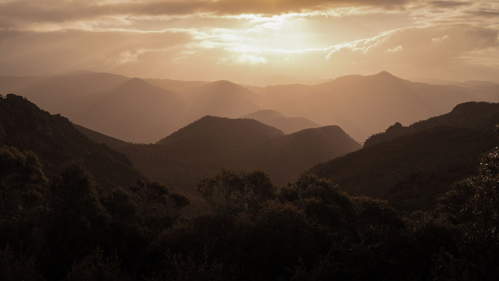 DP_Stills-AustraliaDSC04996