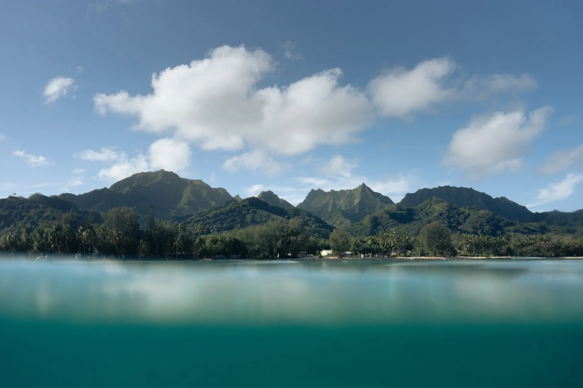 Cook_Islands_JW_2025-06974